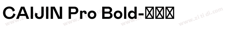 CAIJIN Pro Bold字体转换